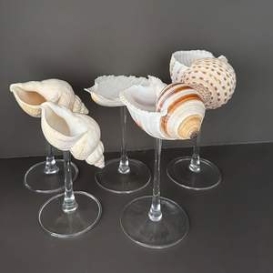 Verres à cocktail en coquillages exotiques faits à la main: vente en gros de gobelets en coquillages pour restaurants et bars sur le thème de l'océan - Product Image 1