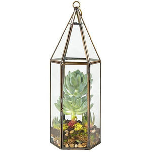 Mini Maceta Decorativa de Cristal con Forma de Barco para Suculentas, Terrario de Cristal para Interiores, Jarrón para Jardín de Suculentas - Product Image 3