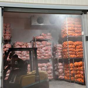 Vietnam Carottes et légumes frais biologiques Goût sucré Livraison rapide avec un excellent service client Vente en gros - Product Image 6