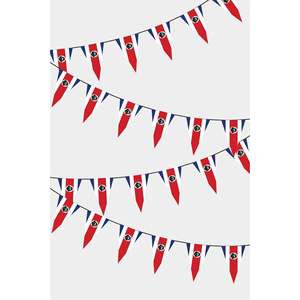 Guirlande de drapeaux triangulaires du Costa Rica pour décorations de fête - Product Image 1