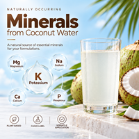 Natuurlijk kokoswaterpoeder, spraygedroogd, instant, wateroplosbaar poeder voor elektrolyt hydratatie, sportdranken, bulkverpakking