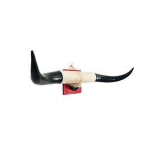 Decoración de Pared Náutica Elegante con Cuerno de Búfalo Natural Montado, Artesanía Natural Pulida, Cuerno de Búfalo Montado en la Pared - Product Image 2