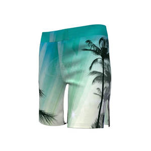 Shorts MMA de haute qualité, best-seller, vêtements d'entraînement, vêtements d'arts martiaux, shorts MMA pour adultes - Product Image 3