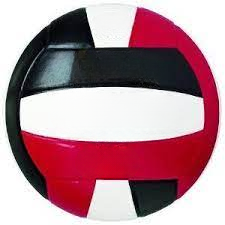 Ballons de volley en cuir modernes personnalisés pour les ligues sportives, les écoles et les événements bordés par des activités de promotion de logo - Product Image 2