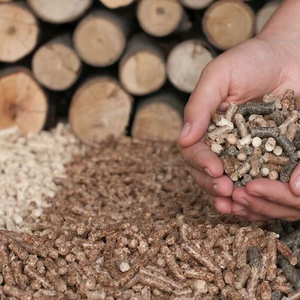 Pellets mixtos de madera de haya de acacia, roble y pino abeto, madera dura de alta calidad en bolsas de 15kg a la venta - Product Image 6