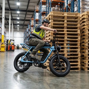 Vélo électrique rétro à pneus larges, économique et performant, avec écran LCD, expédition depuis l'entrepôt pour commandes en gros prêtes à être expédiées - Product Image 1