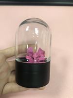 Offre Spéciale – Bouteille Bulbe 100 ml – Support Logo Personnalisé – Pot en Plastique – Bouteille en Plastique à Fond Rond