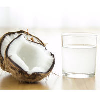 Polvo de Agua de Coco al por Mayor |   Agua de Coco Fresca Natural |   Fábrica en Vietnam