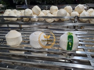 出售天然有机新鲜年轻椰子切割圆锥体形状/钻石形状，带越南吸管 - Product Image 4