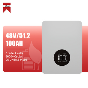 Batería de Almacenamiento Doméstico LiFePO4 de Ciclo Profundo Hisun de 51.2V 100Ah, Batería de Almacenamiento Doméstico LiFePO4 de Montaje en Pared - Product Image 1