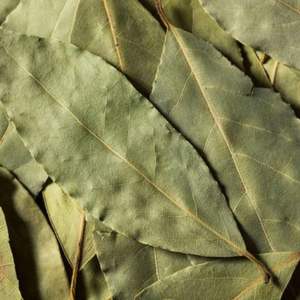 Guanábana deja una comida saludable precio barato de VIETNAM - Product Image 4