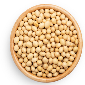 Semillas de soja orgánicas al por mayor, suministro a granel de soja fresca y seca a precio de fábrica con embalaje de grado de exportación a la venta - Product Image 5