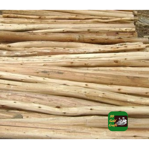 Bois d'eucalyptus scié pour l'utilisation en usine, la fabrication de meubles, la construction et l'exportation - Product Image 4