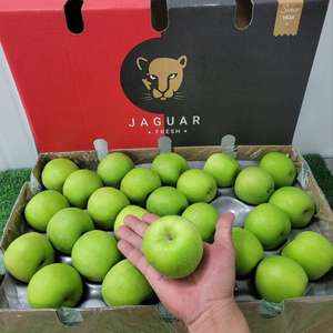 Compre Manzanas Verdes Granny Smith Frescas y Orgánicas al por Mayor, Suministro Directo Premium en Venta - Product Image 4