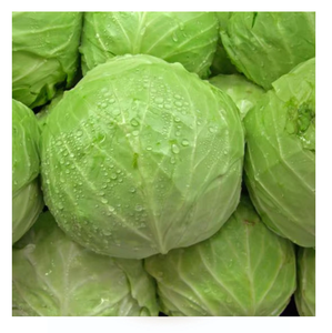 Wholesale Spring Delicious Exporting Brands Fresh Organic Green Cabbage HACCP Certified 2kg - Product Image 4