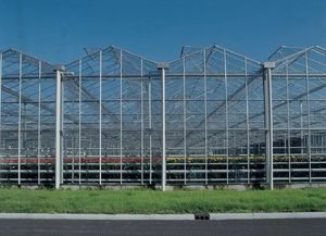 Invernadero Solar Fotovoltaico de Vidrio de Gran Altura y Múltiples Vetas para Agricultura y Cultivo de Vegetales - Product Image 6