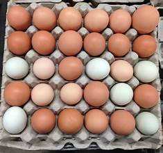 ไข่ไก่โต๊ะออร์แกนิกสดขนาดเล็กกลางขนาดใหญ่ - Product Image 4