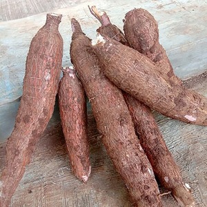 ผักรากมันสำปะหลังแช่แข็งแบบสด - Product Image 5