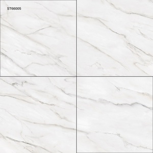 กระเบื้องปูพื้นเซรามิกทันสมัยรุ่นยอดนิยม ST66005 ขนาด 60x60 ซม. สำหรับห้องน้ำและซูเปอร์มาร์เก็ต จากผู้ผลิตที่เชื่อถือได้ - Product Image 1