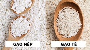 Arroz Glutinoso Blanco Estándar de Primera Calidad, Arroz Glutinoso de Alta Calidad a un Precio Accesible en Venta, Akina - Product Image 3