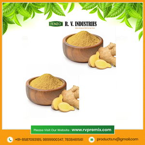Venta al por Mayor de Té de Jengibre Orgánico en Polvo de la Mejor Calidad, Paquete de 1 kg, Caja a Granel, Exportador Indio - Product Image 4