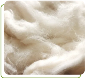 Fil de coton peigné blanchi écologique de haute qualité en gros, modèle Thanh Vin Vietnam 2025, meilleur prix, Ms.Xavia - Product Image 5