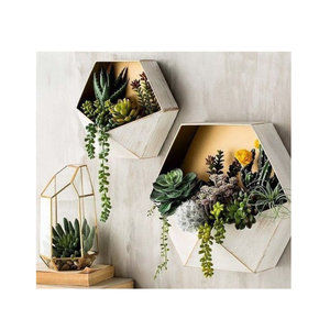 Macetas galvanizadas montadas en la pared hexagonales, Juego de 2 macetas colgantes de pared de hierro y Metal antiguo de diferentes tamaños - Product Image 1