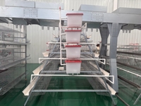 Nouveau système de cages automatiques en acier galvanisé pour poulets pondeuses, optimisant l'espace pour les fermes avicoles commerciales