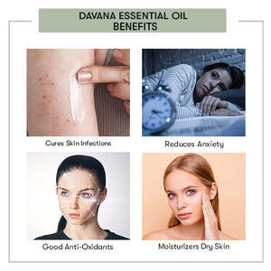 Aceite Esencial Herbal Nutritivo Davana - Product Image 3