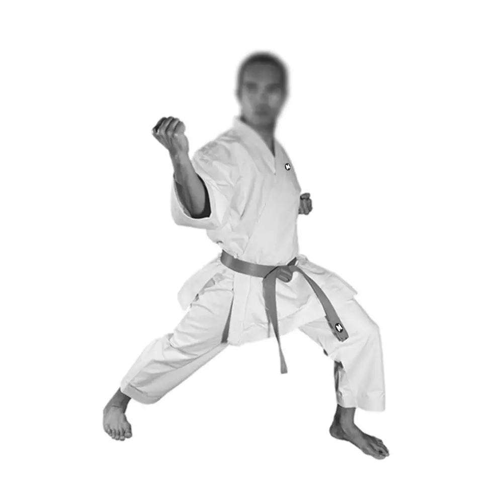 Taekwondo MTX S2 Đồng Phục Trắng Đồng Phục Tae Kwon Làm MMA Võ Thuật Karate Tùy Chỉnh Nhu Cầu Sản Xuất