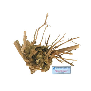 Décoration d'aquarium en bois flotté naturel, forme irrégulière, écologique, ornement pour aquarium fabriqué au Vietnam - Product Image 2