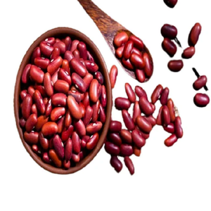 Frijoles rojos orgánicos de alta calidad 100%, suministro económico al por mayor empaquetado a granel - Product Image 4