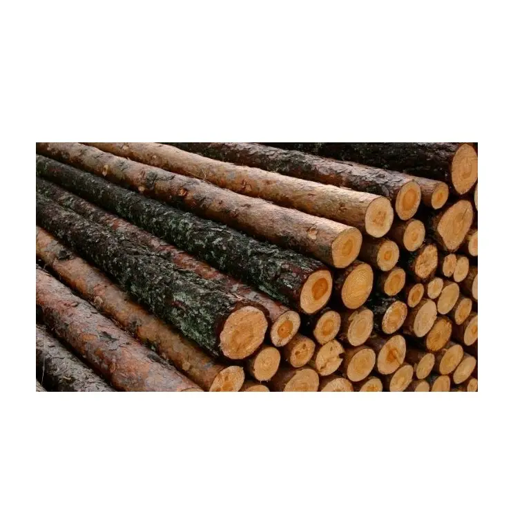 Pemasok langsung dari kayu keras bulat log dengan harga grosir