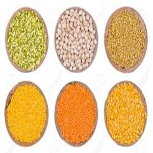 Lentilles jaunes fendues de qualité alimentaire (Moong Dal) prêtes à l'exportation au prix de gros - Product Image 4