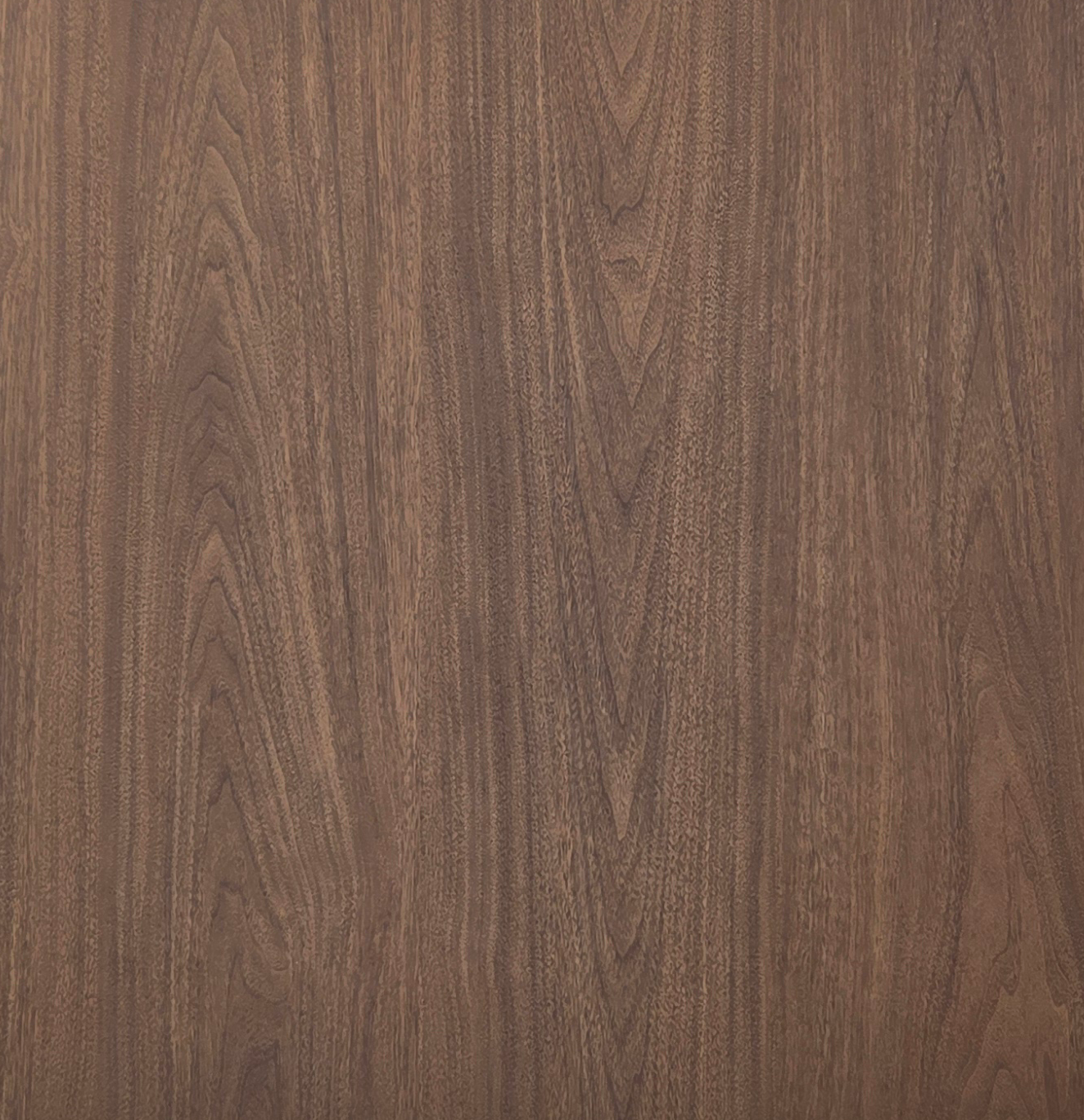 โกโก้วอลนัท