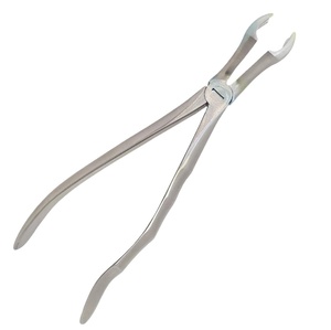 Pinzas de Extracción Dental, Modelo Inglés, Quirúrgicas, para Cirugía Oral, Pinzas de Extracción para Adultos, Plateadas, Manuales, con Certificación CE - Product Image 1