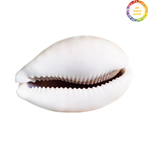 Bol artisanal vietnamien en coquillages, style sac, fabriqué à la main avec des coquillages pour la décoration de la pièce - Product Image 4