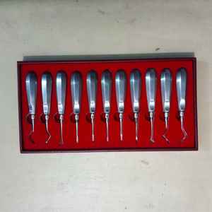 Elevadores de raíces dentales de alta calidad Set 5pcs | Instrumentos quirúrgicos dentales de acero inoxidable | Autoclavable | Herramientas dentales OEM - Product Image 1