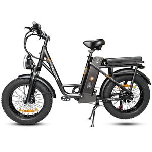 Bicicleta Eléctrica E21 2025 de 48V 750W, Nueva, de Grado Industrial, con Personalización OEM para Repartidores - Product Image 1