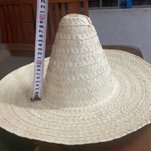 หมวกฟางปีกกว้างทำด้วยมือ | หมวกหญ้าทะเลราฟเฟอเรียเป็นมิตรต่อสิ่งแวดล้อมป้องกันแสงแดดผู้จำหน่ายจากเวียดนาม | ดีไซน์ที่ไม่เหมือนใคร - Product Image 1
