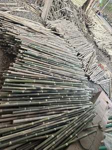 Eco-Friendly Garden Stakes | Custom Processed <b>Bamboo</b> | Vietnam OEM Supplier - Product Image 4