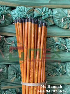 Manches en bois d'eucalyptus écologiques de qualité supérieure, poils en plastique, exportateur direct d'usine, haute qualité, durable, prix compétitif 1 $ - Product Image 2