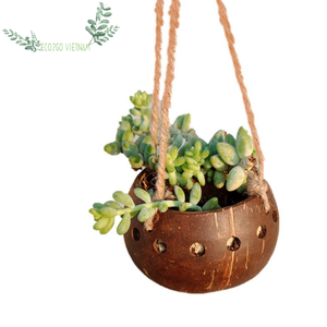 Offre Spéciale! De noix de coco Shell Pot/Noix De Coco Planteur Pot/Pot De Fleur Avec Un Design Personnalisé et Logo À L'exportation De Noix De Coco par Eco2go - Product Image 1