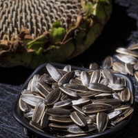 Graines de tournesol brutes séchées biologiques de qualité supérieure de Chine, 363, grande taille, haute plénitude