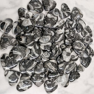 ฟอสซิลพลอยเทียมทรงหลวมสำหรับประดับอัญมณี - Product Image 4