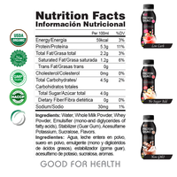 Bebida de Chocolate con Alto Contenido Nutricional y Sin Azúcar - Batido de Proteínas de 15G - Botella de 350ml - Bebidas Energéticas Deportivas - Marca Privada OEM