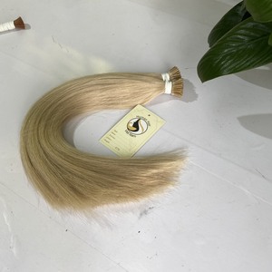 Meilleur Vente Super Double Drawn Cheveux Vietnamien Cheveux Kératine JE Pointe Extensions Blonde Pré-Collé Cabelo Humano Naturel - Product Image 2