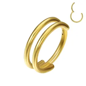 Surgical steel Clicker 18K PVD plated Hinged Segment Hoop Nose Ring Helix Ear Piercing Jewelry with Surround CZ 2 sides