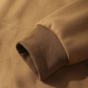 Haute Qualité 500 GSM Coton Épais Blanc Plaine Lourd Surdimensionné Hoodies No String Unisexe Logo Personnalisé Plus La Taille Hommes Hoodies - Product Image 6