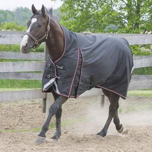 Indian Horsewear Magnum Storm 160gm léger - Product Image 6